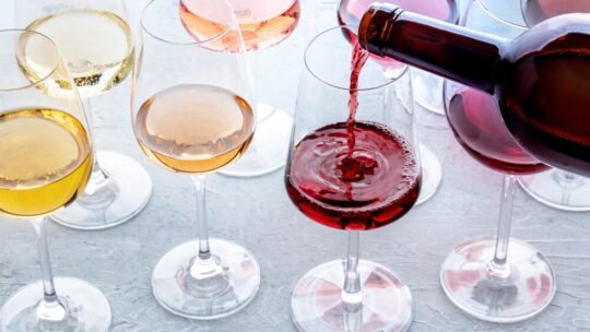 Le vin bio et naturel : différences, avantages, et meilleures options à déguster